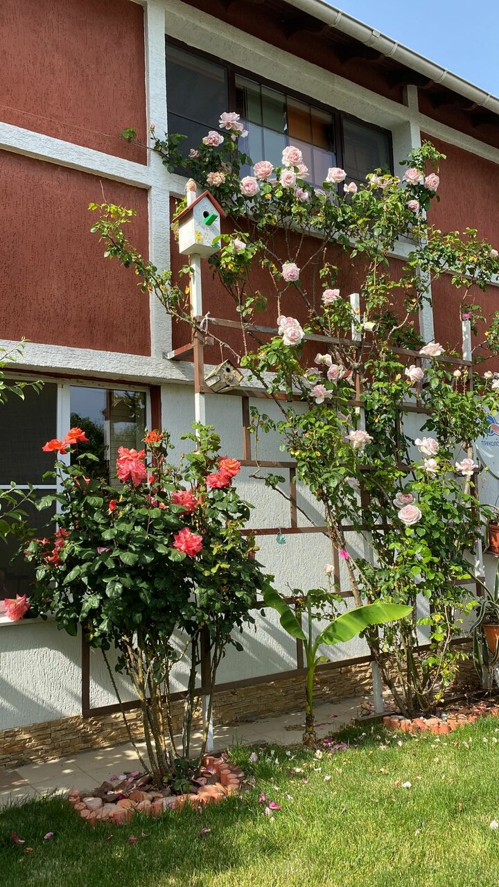 Гостевой дом Вилла София Архипо-Осиповка