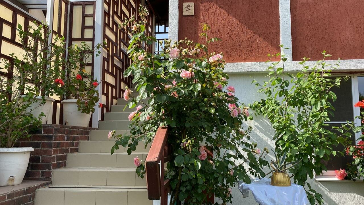 Гостевой дом Вилла София Архипо-Осиповка-47