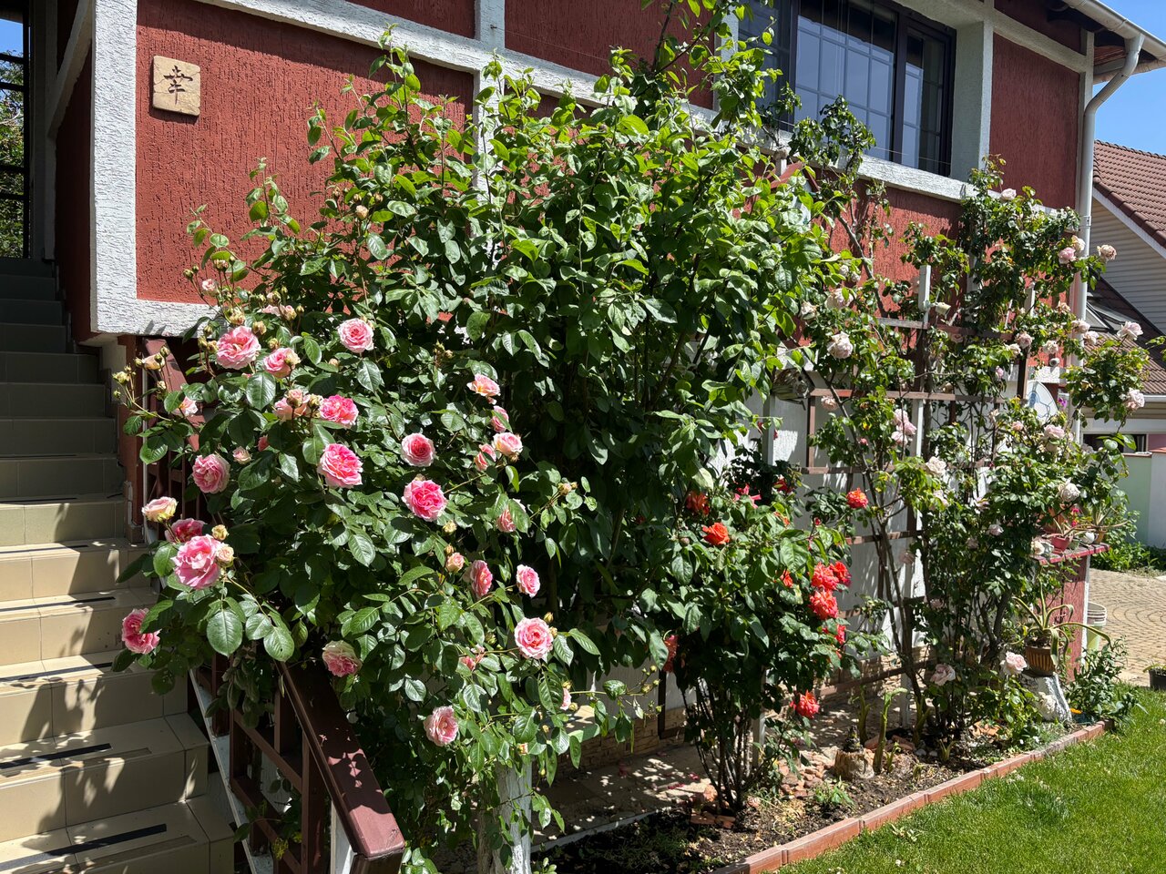 Гостевой дом Вилла София Архипо-Осиповка-12