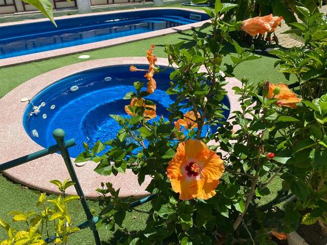 Гостевой дом Вилла София Архипо-Осиповка-21