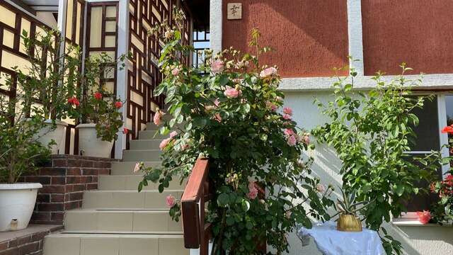 Гостевой дом Вилла София Архипо-Осиповка-46